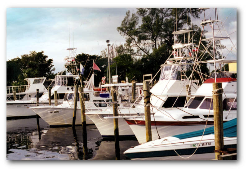 Docks at The Cove